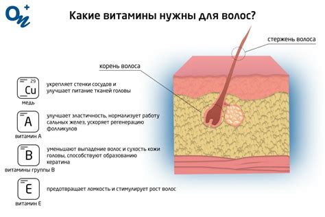 Гигиенические проблемы могут привести к зуду при седых волосах