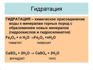 Гидратация и процесс прорастания