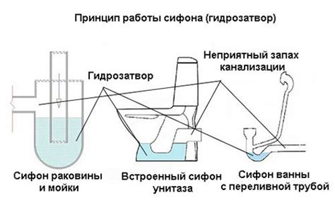 Гидрозатвор и его функции