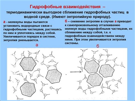 Гидрофобные свойства