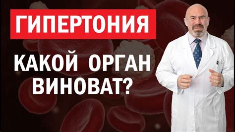 Гипертония: наиболее распространенная причина