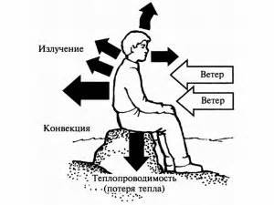 Гипотермия и ее влияние на работу организма