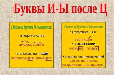 Глава 2. Что такое "ц" и почему оно пишется после и