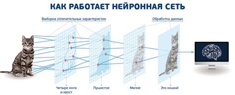 Глава 3: Как работает нейросеть при создании портрета