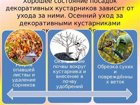 Глава 5: Отображение листвы и веток