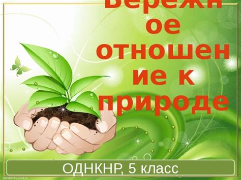 Главное правило: бережное отношение к ксюше