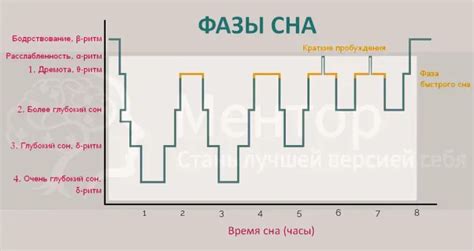 Глубокий сон и быстрый глазной (REM) сон