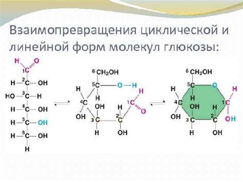 Глюкоза: структура и свойства