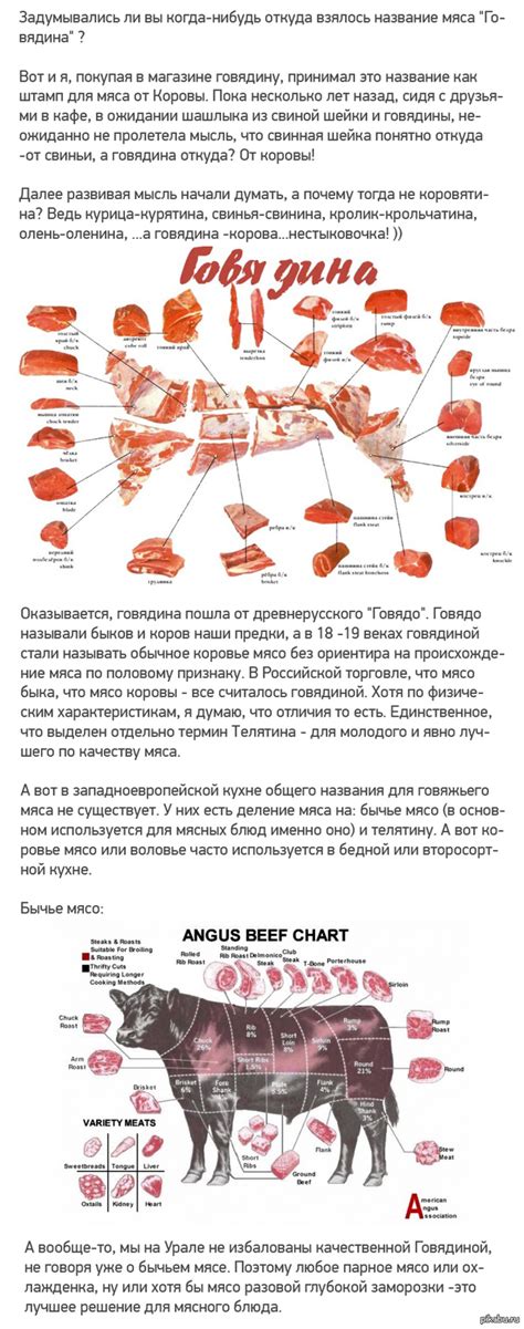 Говядина vs. коровятина