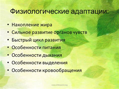 Голодание: физиологические адаптации для выживания