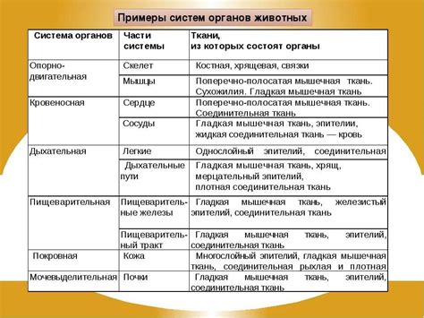 Голодание и изменения в функционировании органов