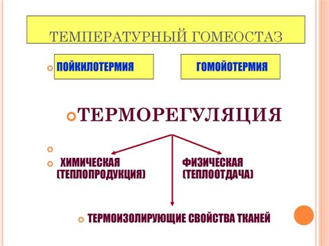 Гомеостаз и поддержание температуры тела