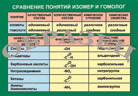 Гомолог и изомер: основные понятия