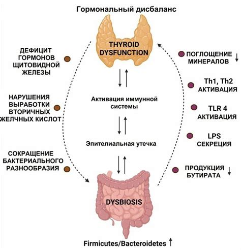 Гормональное нарушение щитовидной железы и его влияние на память