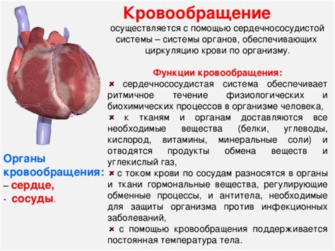 Гормональные изменения и нарушенные обменные процессы