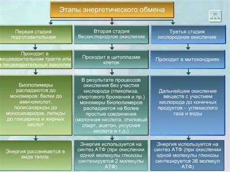 Гормональный регулятор энергетического обмена