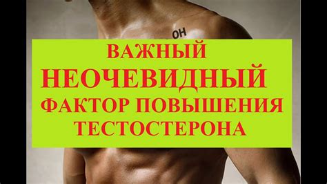 Гормональный фактор: влияние тестостерона