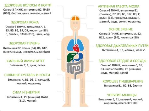 Гормоны - ключевые компоненты организма