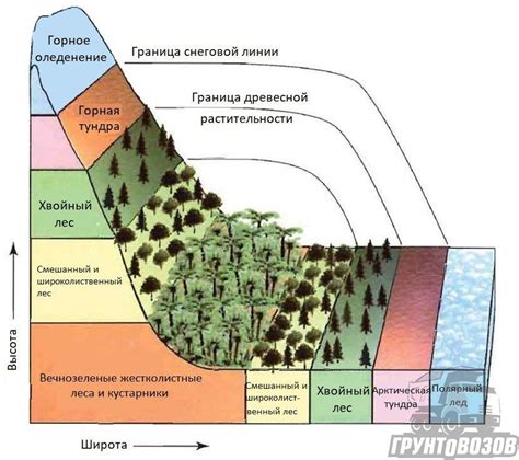 Горные местности и воздушные потоки