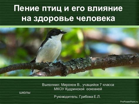 Горчичное поле и его влияние на репродуктивный процесс птиц