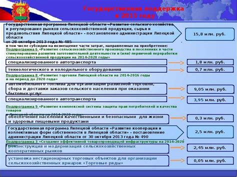 Государственная поддержка: возможности для компании