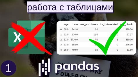 Готово! Вы установили библиотеку pandas оффлайн