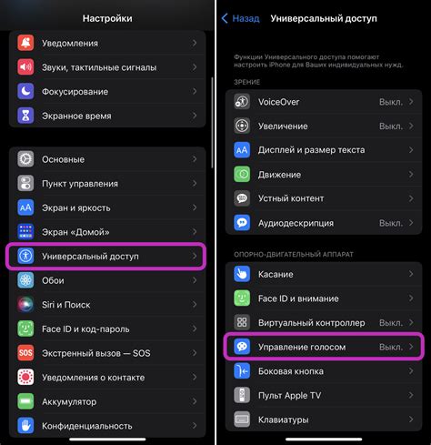 Готово! Голосовое управление на iPhone отключено