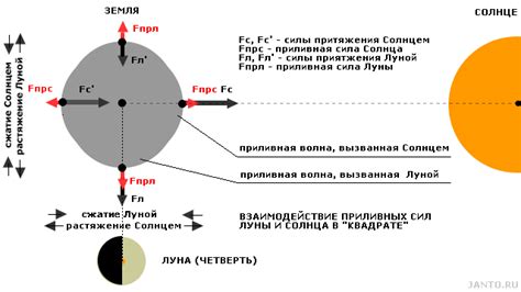 Гравитационное влияние Луны и Солнца