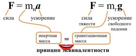 Гравитация и ее связь с формой Земли