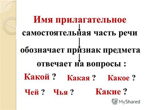 Грамматические особенности прилагательного