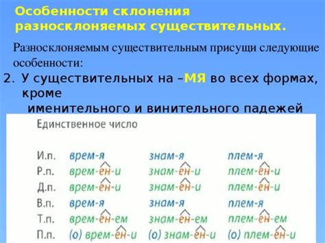 Грамматические особенности разносклоняемых существительных