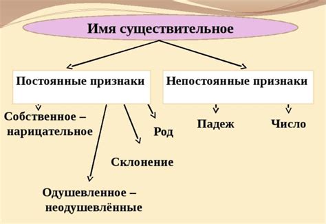 Грамматические особенности существительных