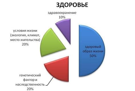 График и образ жизни