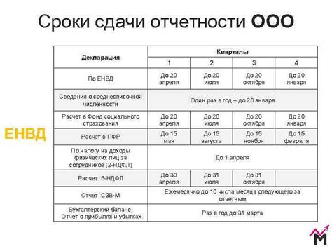 График и сроки сдачи налоговой отчетности