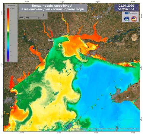 График цветения воды в море Абхазии