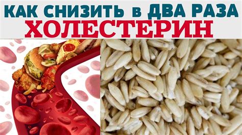 Гречка помогает снизить уровень холестерина