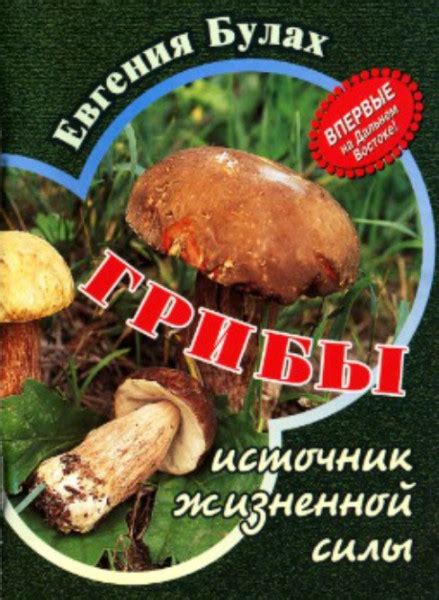 Грибы – источник аллергических реакций