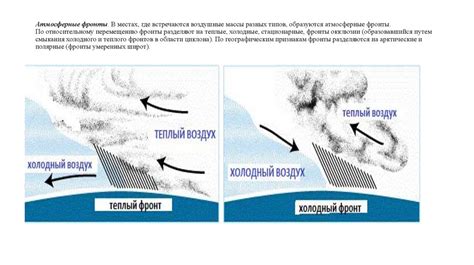 Грунт и климатические условия: основные факторы