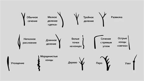 Группировка волос и состригание кончиков