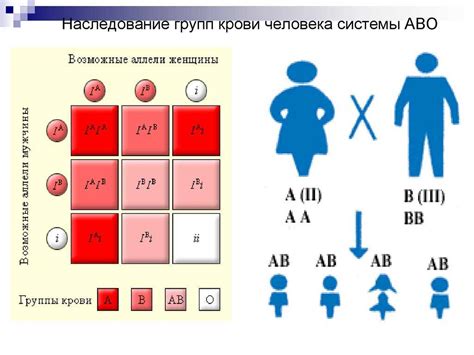 Группы крови: генетика и эволюция