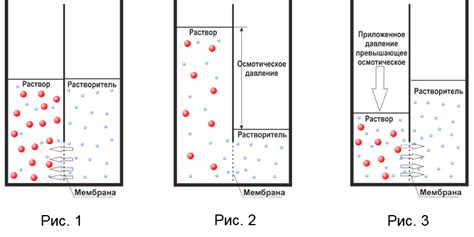 Давление и его роль в формировании циклонов