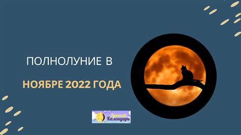 Дайджест экономических трансформаций в ноябре 2022 года