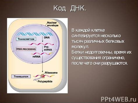 Дайте время каждой клетке, чтобы высохнуть