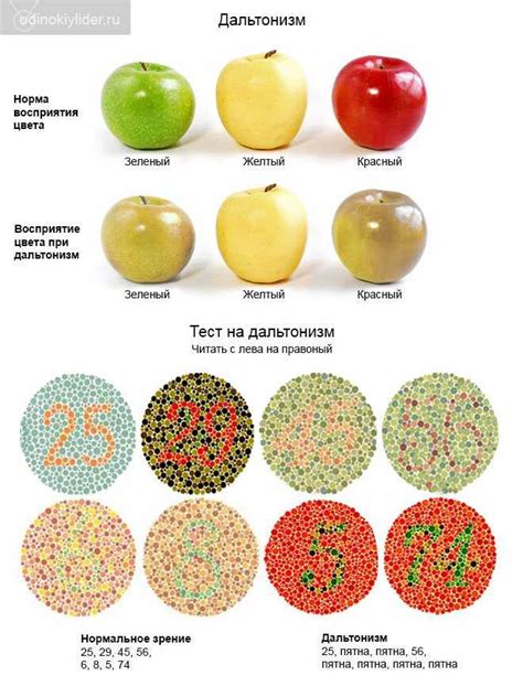 Дальтонизм и образование