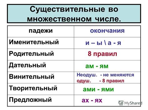 Дательный падеж во множественном числе: особенности и использование