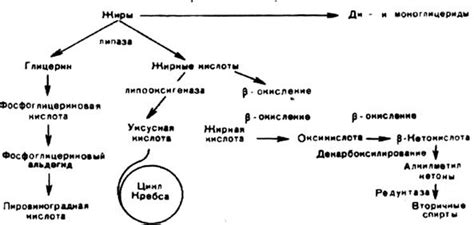 Деактивация пектиновых веществ