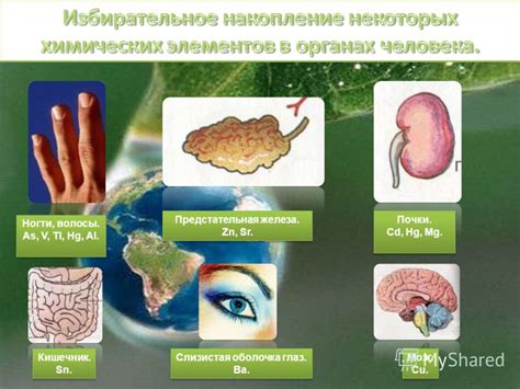 Действие Супрастина на организм