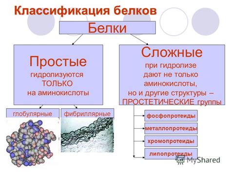 Действие химических веществ: как они влияют на структуру белков?