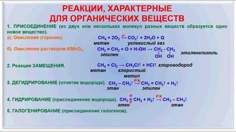 Действие энзимов на биохимические реакции