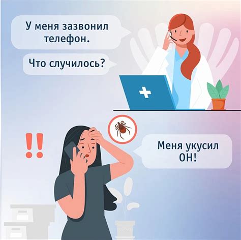 Действия при укусе